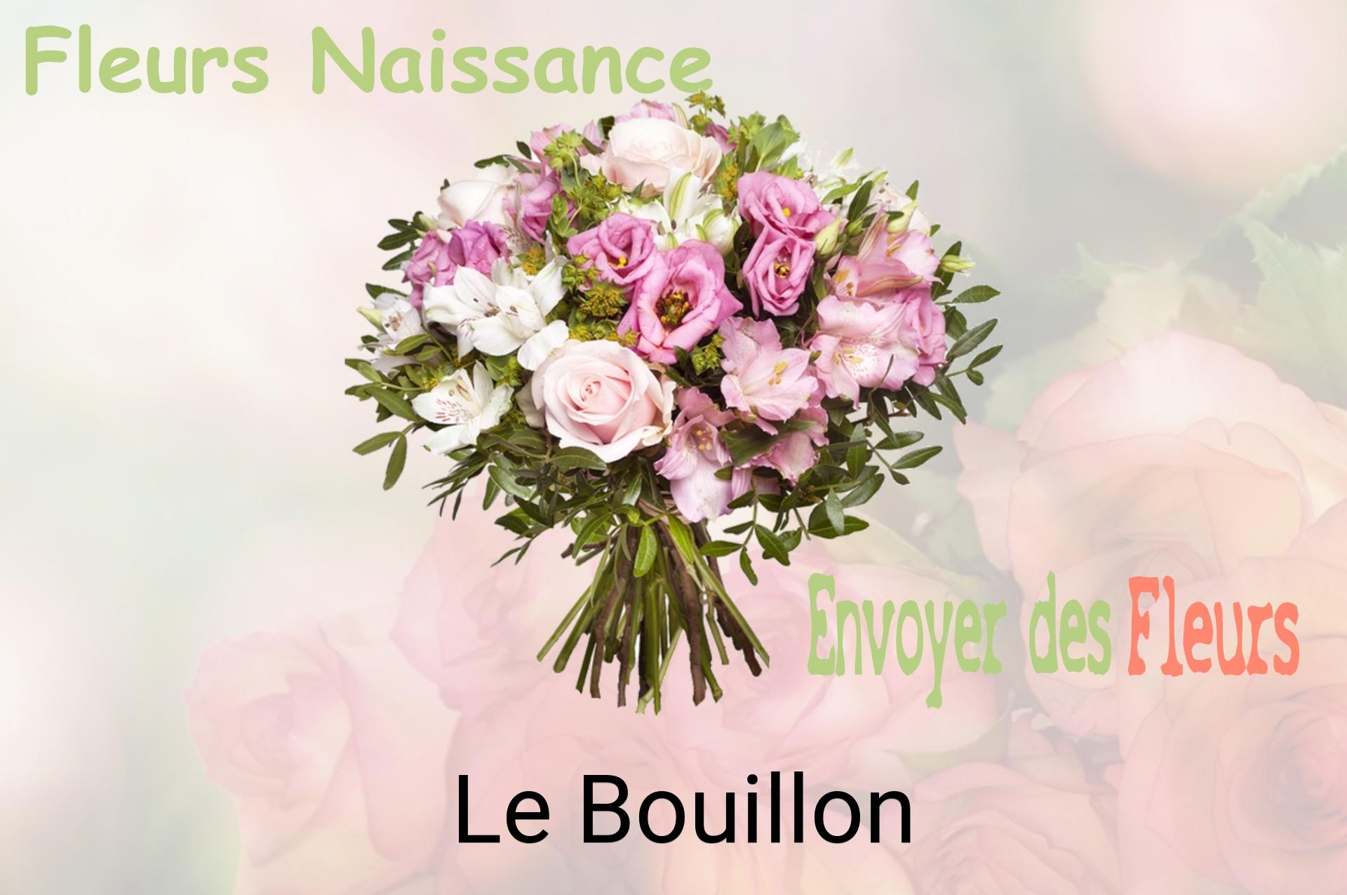 Bouquet de fleurs de naissance livré à Le Bouillon